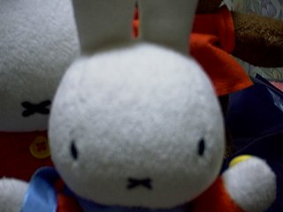 hi miffy
